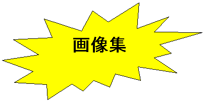  2: 摜W
